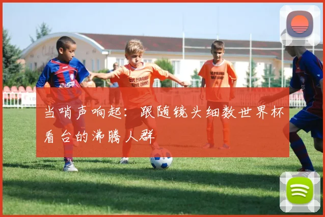 当哨声响起：跟随镜头细数世界杯看台的沸腾人群